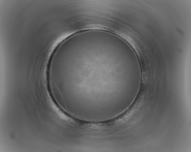 X0000112400995200908141335