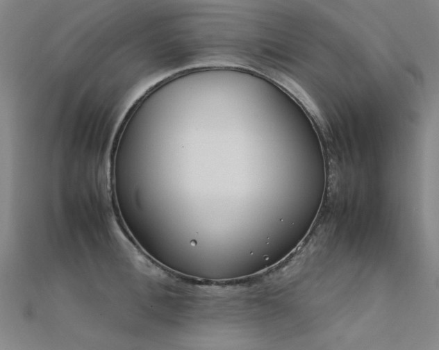 X0000112400996200908141335