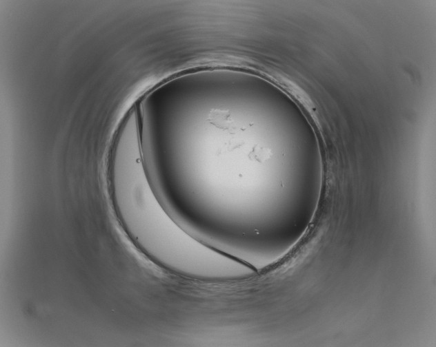 X0000112400997200908141335
