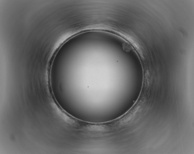 X0000112400998200908141335
