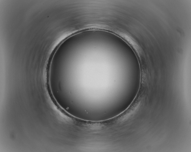 X0000112400999200908141335