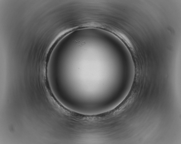 X0000112401000200908141335