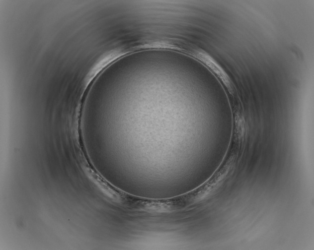 X0000112401002200908141335