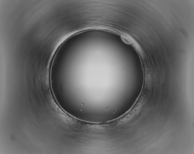 X0000112401004200908141335