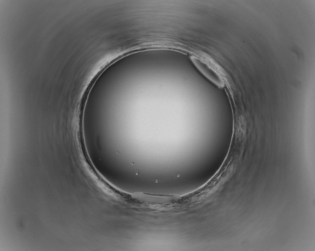 X0000112401005200908141335