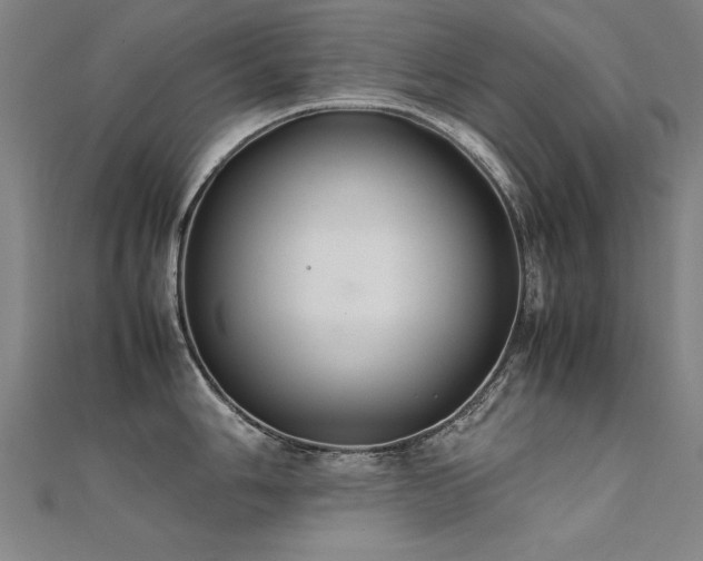 X0000112401006200908141335