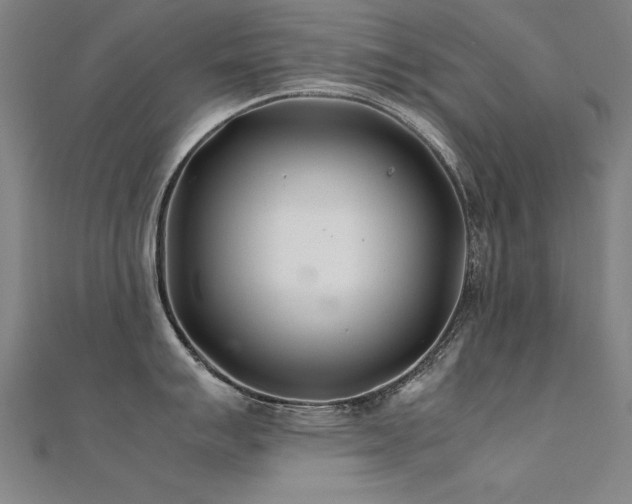 X0000112401007200908141335