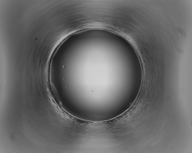 X0000112401008200908141335