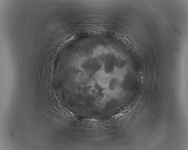 X0000112401009200908141334
