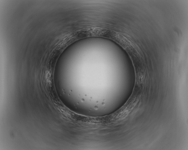 X0000112401010200908141334