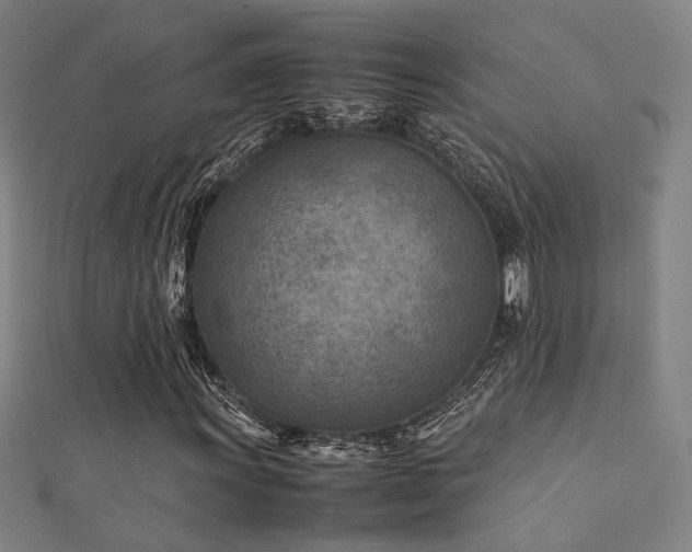 X0000112401011200908141334