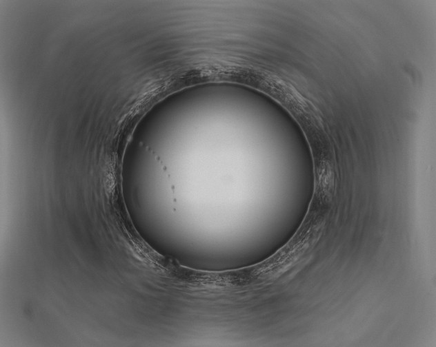 X0000112401012200908141334