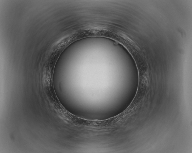 X0000112401014200908141334