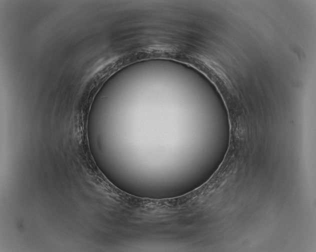 X0000112401015200908141334