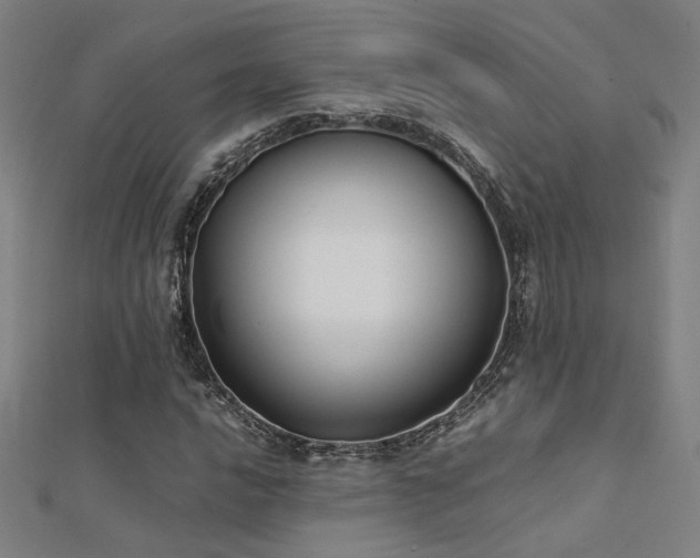 X0000112401016200908141334