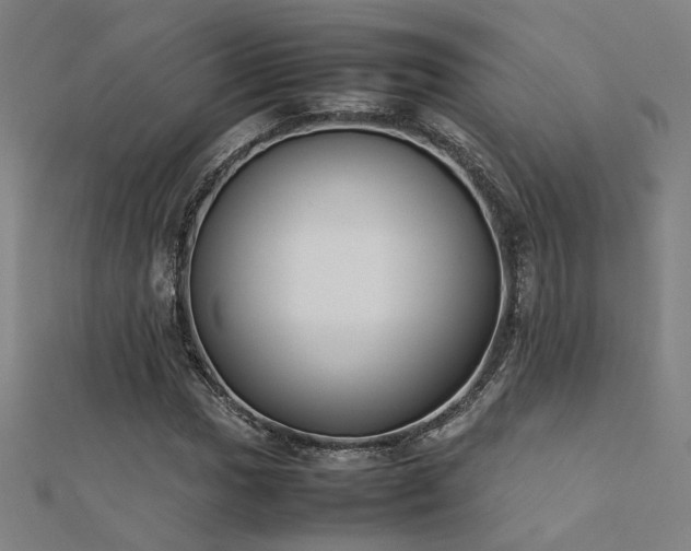 X0000112401017200908141334