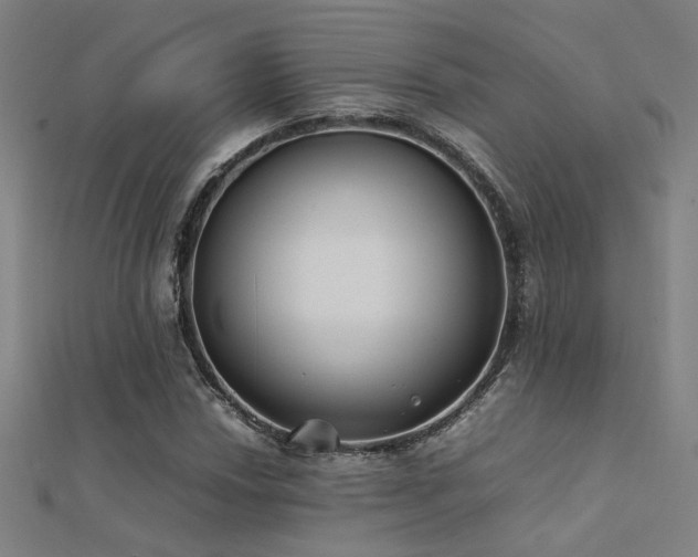 X0000112401018200908141334