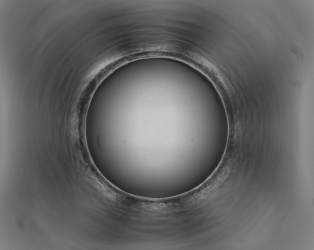 X0000112401019200908141334