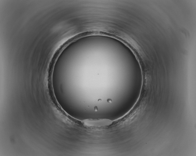 X0000112401020200908141334