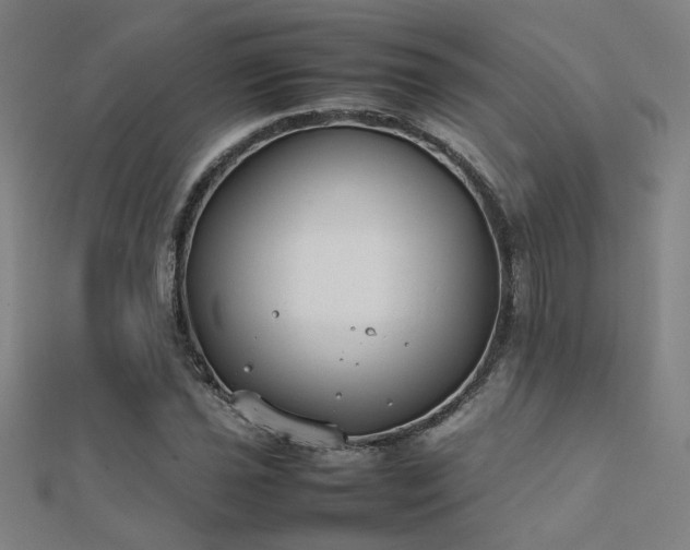 X0000112401021200908141334