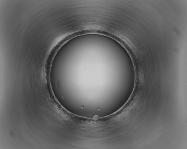 X0000112401022200908141334