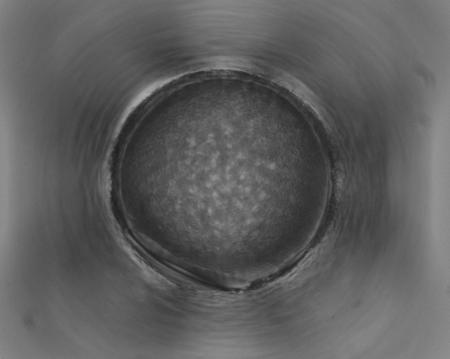 X0000112401024200908141334