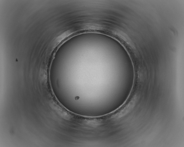 X0000112401025200908141334