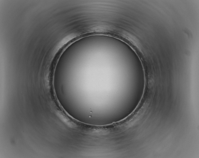 X0000112401026200908141335