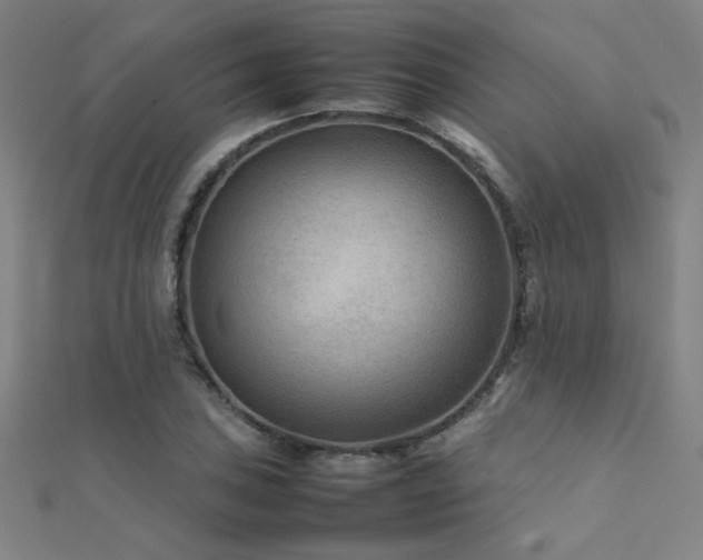 X0000112401027200908141335