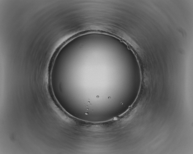X0000112401028200908141335