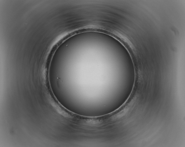 X0000112401029200908141335
