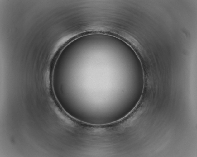 X0000112401030200908141335