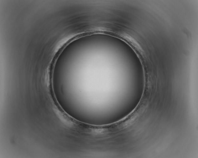 X0000112401031200908141335