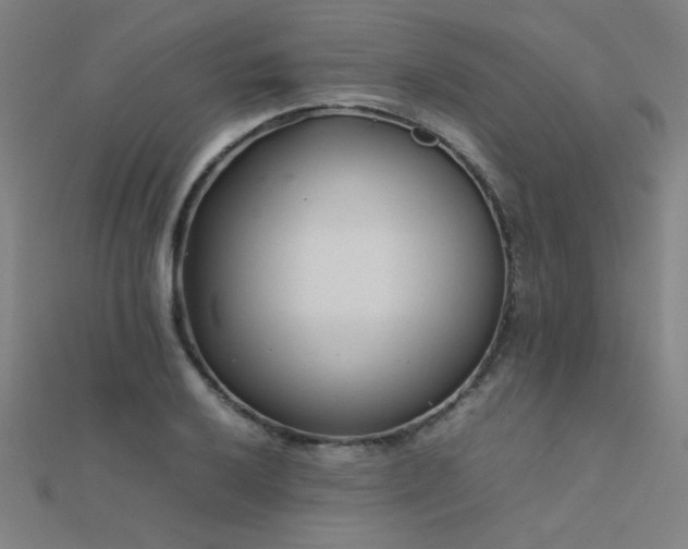 X0000112401032200908141335