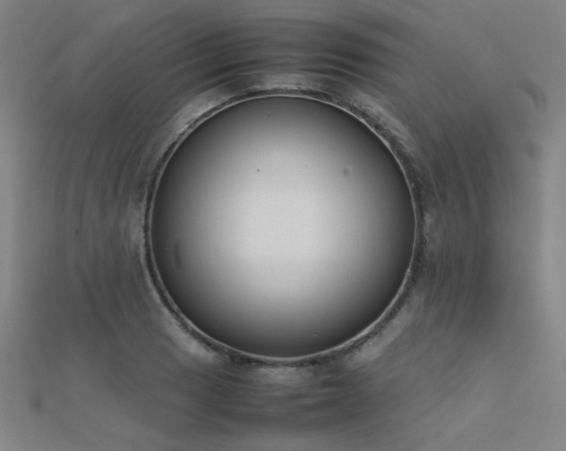 X0000112401033200908141335