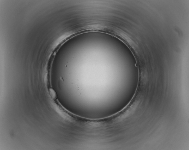 X0000112401034200908141335