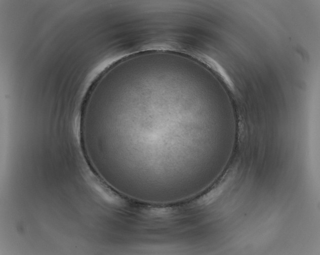 X0000112401035200908141335
