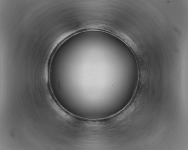 X0000112401036200908141335