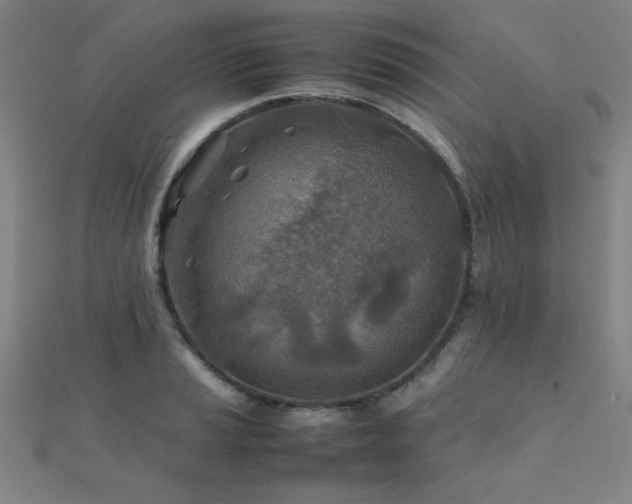 X0000112401037200908141335