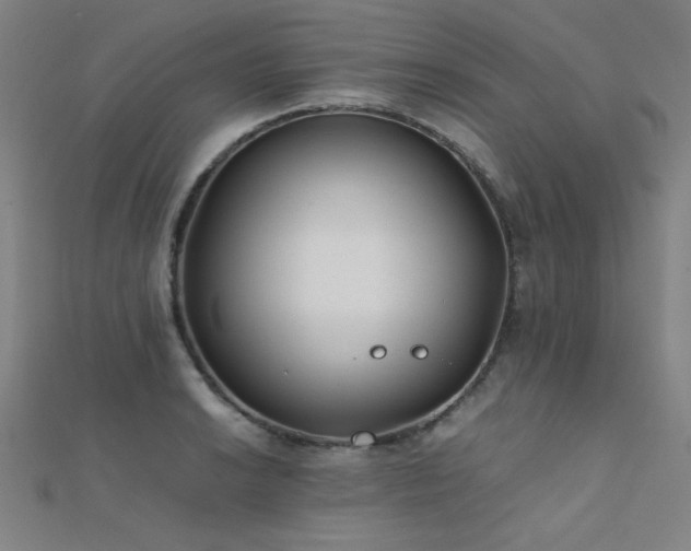X0000112401038200908141335