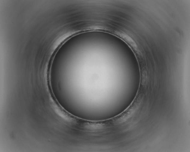 X0000112401039200908141335