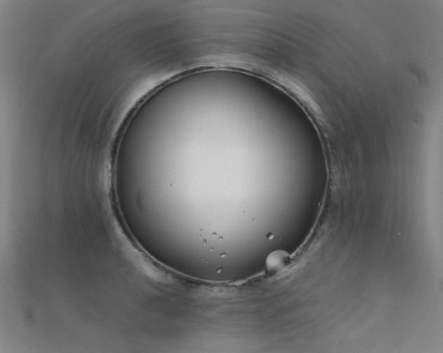 X0000112401040200908141335