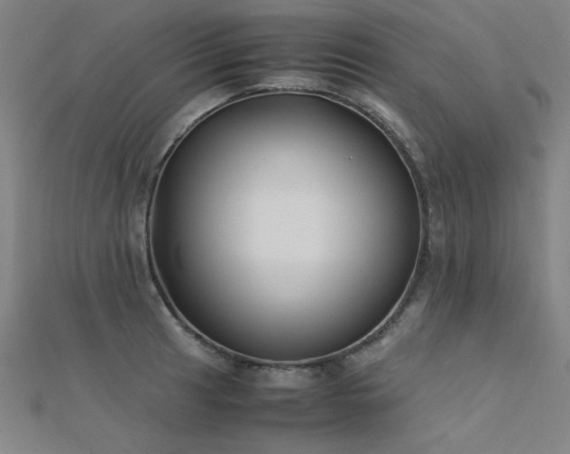 X0000112401041200908141335
