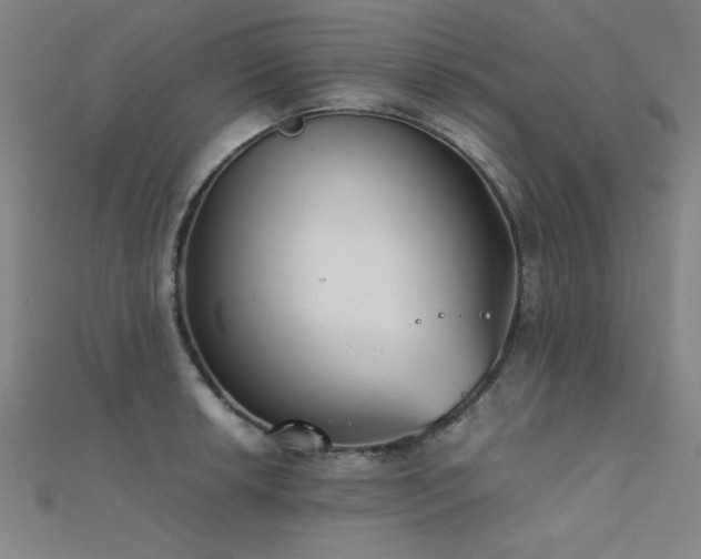 X0000112401042200908141335