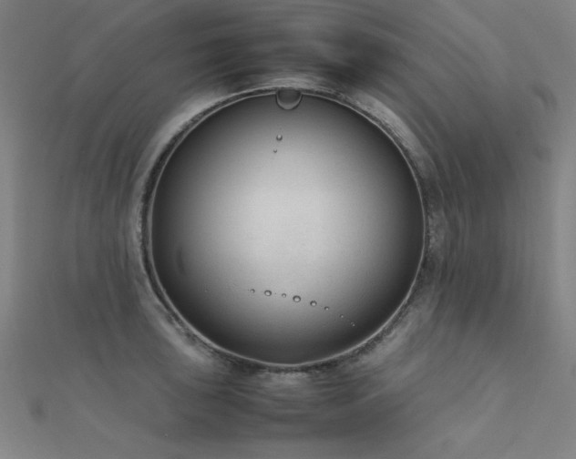 X0000112401043200908141335