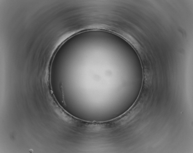 X0000112401044200908141335