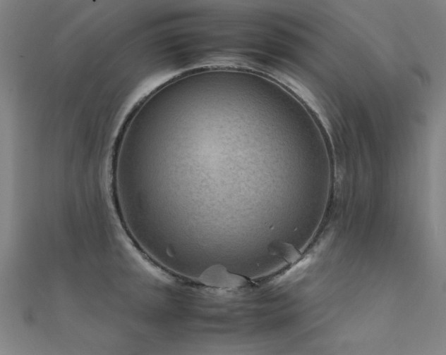 X0000112401045200908141335