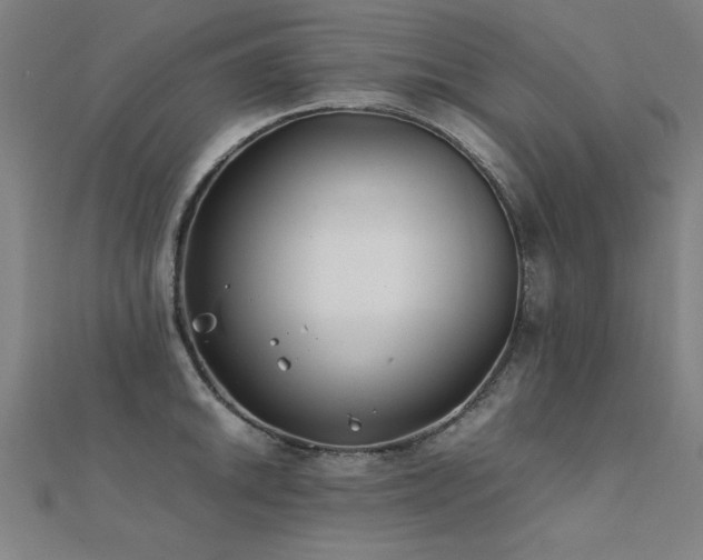 X0000112401046200908141335