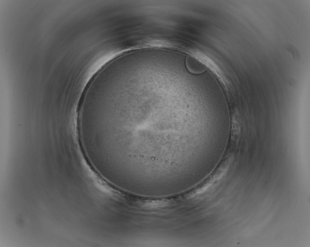 X0000112401047200908141335