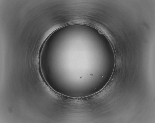 X0000112401050200908141335